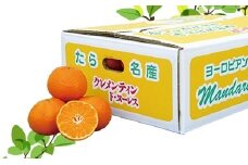 O-26 減農薬栽培のクレメンティン 5kg