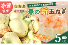 【先行受付】牟田農園の春の新玉ねぎ ５㎏ たまねぎ タマネギ 野菜 新玉ねぎ 玉ねぎ 5kg 玉ねぎ 佐賀県 太良町 M108