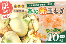 牟田農園の春の新玉ねぎ 【訳あり不揃い】１０㎏ たまねぎ タマネギ 野菜 新玉ねぎ 玉ねぎ 10kg 玉ねぎ 佐賀県 太良町 L151