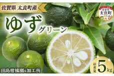 田島柑橘園&加工所のゆず(グリーン)5kg　ゆず ユズ 柚子 フルーツ 果物 柑橘 グリーン 果皮 果汁 ゆずごしょう 柚子胡椒 スイーツ デザート アレンジ 柚子風呂 ゆず風呂 佐賀県 太良町 ND17
