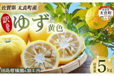 【訳あり】田島柑橘園&加工所のゆず(黄色)5kg　ゆず ユズ 柚子 フルーツ 果物 柑橘 黄色 果皮 果汁 ゆずごしょう 柚子胡椒 スイーツ デザート アレンジ 柚子風呂 ゆず風呂 佐賀県 太良町 NA31