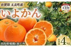 田島柑橘園&加工所のいよかん4kg　みかん 柑橘 蜜柑 いよかん 伊予柑 完熟 果物 くだもの 果実 かんきつ フルーツ ジューシー 果肉 ビタミン 佐賀県 太良町 NB63