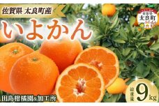 田島柑橘園&加工所のいよかん9kg　みかん 柑橘 蜜柑 いよかん 伊予柑 完熟 果物 くだもの 果実 かんきつ フルーツ ジューシー 果肉 ビタミン 佐賀県 太良町 OA17