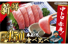 本マグロ 中トロ・赤身セット（計約450g） 長崎県/長崎県漁業協同組合連合会 [42ZZAC001] マグロ トロ 赤身 刺身 柵 まぐろ 鮪 養殖 中トロ 中とろ 海鮮丼 魚 海鮮 海産物 