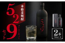 本格麦焼酎 529（ゴーニーキュー）セット（720ml×2本セット）長崎県/長崎県農協直販 [42ZZAA047] お酒 アルコール 麦 長崎 西海 大島酒造
