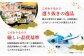 アナゴ 穴子 冷凍 煮穴子 煮あなご レンジ 電子レンジ 魚 海鮮 対馬 おかず 丼物 巻き寿司 卵巻き