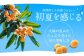 長崎 びわゼリー びわ 枇杷 ビワ お菓子 スイーツ デザート おやつ スイーツ 