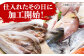 飛魚 あじ 鯛 かます きびなご ひもの 魚 海鮮 海産物 小分け おかず おつまみ 冷凍 詰め合わせ