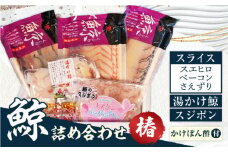 長崎鯨詰合せ 椿（つばき） 長崎県/長崎漁港水産加工団地協同組合 [42ZZAD042]  鯨 ベーコン スライス スジポン くじら クジラベーコン さえずり 