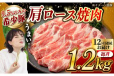 【月1回約1.2kg×12回定期便】大西海SPF豚 肩ロース（焼肉用）計約14.4kg 長崎県/長崎県農協直販 [42ZZAA059]