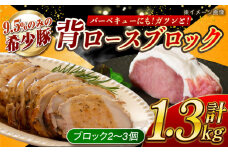 【肉塊で肉会】大西海SPF豚 背ロースブロック 計約1.3kg（2〜3個）長崎県/長崎県農協直販 [42ZZAA088]