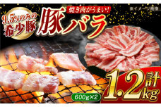 【ド定番】大西海SPF豚 バラ（焼肉用）計約1.2kg（600g×2パック）長崎県/長崎県農協直販 [42ZZAA092]