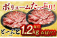 肉 豚 ぶた ブタ 豚バラ 焼肉 小分け 定番 西海市 長崎 九州 定期便