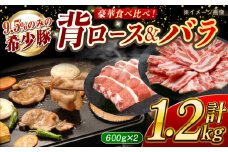 【食べ比べ♪】大西海SPF豚 背ロース＆バラ（焼肉用）計約1.2kg（各600g）長崎県/長崎県農協直販 [42ZZAA104]