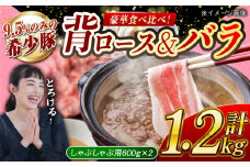 【食べ比べ♪】大西海SPF豚 背ロース＆バラ（しゃぶしゃぶ用）計約1.2kg（各600g）長崎県/長崎県農協直販 [42ZZAA108]