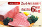 肉 牛 和牛 サーロイン 塊 ブロック 西海市 長崎 九州 定期便
