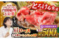 肉 牛 和牛 ロース すき焼き 西海市 長崎 九州 定期便