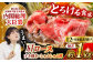 肉 牛 和牛 ロース すき焼き 西海市 長崎 九州 定期便