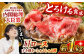  肉 牛 和牛 ロース すき焼き しゃぶしゃぶ 西海市 長崎 九州 定期便
