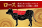 肉 牛 和牛 ロース 焼肉 焼き肉 西海市 長崎 九州 定期便