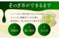 茶 ペットボトル アルミボトル 手軽 アウトドア 外出用 携帯用