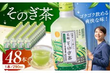 そのぎ茶 290ml×48本 長崎県/長崎県農協直販 [42ZZAA031] 缶 ドリンク 飲料 茶 お茶 おちゃ 飲み物 長崎県産