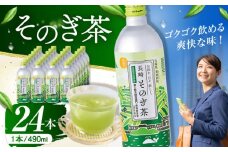 そのぎ茶 490ml×24本 長崎県/長崎県農協直販 [42ZZAA032] 缶 ドリンク 飲料 茶 お茶 おちゃ 飲み物 長崎県産
