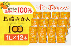 長崎みかん100 1L×12本 長崎県/長崎県農協直販 [42ZZAA035] 飲み物 ミカンジュース 果汁100 100％ジュース みかん ジュース 大容量 パック 飲料 1L 国産 オレンジジュース おれんじ