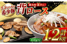 【焼肉革命】大西海SPF豚 背ロース（焼肉用）計約1.2kg（600g×2パック）長崎県/長崎県農協直販 [42ZZAA072]