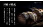 芋焼酎 お酒 アルコール 長崎 西海 大島酒造