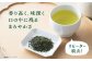 日本茶 緑茶 茶葉 玉緑茶 平戸 彼杵茶  そのぎ茶 茶 お茶