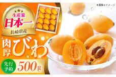 【先行予約】 長崎 ハウスびわ 500g ＜4月お届け＞長崎県/長崎県農協直販 [42ZZAA027] ビワ 枇杷 果物 フルーツ びわ 長崎 特産 数量限定