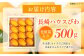 ビワ 枇杷 果物 フルーツ びわ 長崎 特産 数量限定