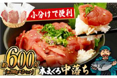 長崎県産 本まぐろ中落ち (約600g) 長崎県/長崎県漁業協同組合連合会 [42ZZAC006]まぐろ マグロ 鮪 海鮮丼 刺身 小分け 冷凍 養殖