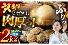 【訳あり】長崎県産 ヒオウギ貝 約2kg (16枚～30枚) 長崎県/長崎県漁業協同組合連合会 [42ZZAC008]ヒオウギ貝 BBQ 海の幸 ホタテ ひおうぎ貝 ほたて