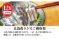  肴 つまみ あて 角煮 ちまき えいひれ あわび あごだし 明太子 干物 きびなご 刺身 晩酌 隔月 あとから 届く 小分け