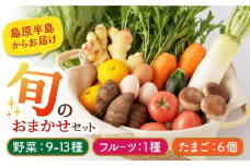 【野菜9～13種・フルーツ1種・卵6個】 旬のおまかせセット 長崎県/舞岳の里 [42ACAC001] 野菜 卵  果物 新鮮 セット 詰め合わせ  産地 直送 国産 季節の野菜 たまご メロン いちご ピオーネ 野菜セット