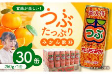 【スピード発送】金太洋 つぶオレンジみかん 30缶入り 1ケース 長崎県/太洋食品株式会社 [42ACAD001] みかん ジュース ミカン 缶 長崎 島原 つぶ