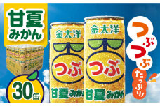 【スピード発送】金太洋 つぶ甘夏みかん 30缶入り・1ケース 長崎県/太洋食品株式会社 [42ACAD002] みかん ジュース ミカン 缶 長崎 島原 つぶ 粒