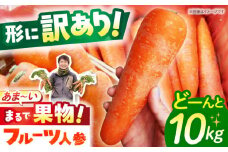 ＜先行予約！12月～5月お届け＞【訳あり】宮崎さんのフルーツにんじん10kg 長崎県/株式会社まるまさ [42ALAB002]フルーツ 人参 ニンジン にんじん キャロット 長崎 島原 野菜 ジュース スムージー 甘い 訳アリ わけあり