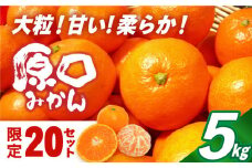 【数量限定】原口みかん 5kg 長崎県/長崎ダイヤモンドスタッフ [42AABL001] みかん 5kg 甘い 長崎 大粒 原口