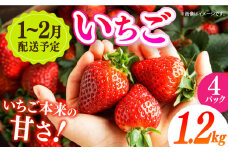 【希少】長崎県産 電子いちご 1.2kg(4パック) さちのか ゆめのか 長崎県/長崎果匠 [42AABK006] 長崎 雲仙 島原 諫早 HAMATSU ハマツ