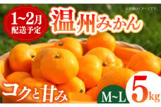 ＜1～2月配送＞普通温州みかん 5kg 長崎県/長崎果匠 [42AABK005] 長崎県産 温州みかん ミカン フルーツ 果物 果実 