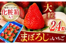 ＜1～2月お届け＞大粒！甘～い！！長崎ストロベリー「まぼろしの電子いちご」 化粧箱入り2箱(24玉) 長崎県産 さちのか ゆめのか 長崎県/長崎果匠 [42AABK007] いちご 苺 イチゴ 果物 フルーツ