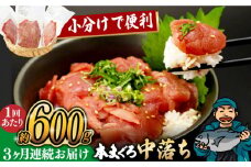 【全3回定期便】長崎県産 本まぐろ中落ち (約600g) 長崎県/長崎県漁業協同組合連合会 [42ZZAC015] マグロ 中落ち まぐろ 長崎 海産物