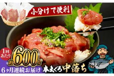 【全6回定期便】長崎県産 本まぐろ中落ち (約600g) 長崎県/長崎県漁業協同組合連合会 [42ZZAC016] マグロ 中落ち まぐろ 長崎 海産物