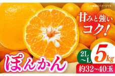 【先行予約】＜2月発送＞長崎県産 ぽんかん 5kg(2L～L・約32～40玉) 長崎県/長崎果匠 [42AABK008]