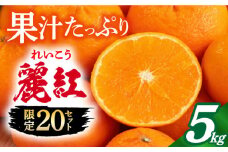 【数量限定】 麗紅（れいこう） 5kg 長崎県/長崎ダイヤモンドスタッフ [42AABL003]