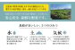 野菜 卵  果物 新鮮 セット 詰め合わせ 定期便 産地 直送