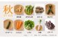 野菜 卵  果物 新鮮 セット 詰め合わせ 定期便 産地 直送